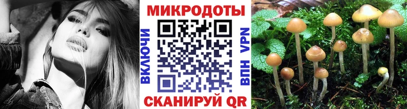 Галлюциногенные грибы Cubensis даркнет сайт Кудрово